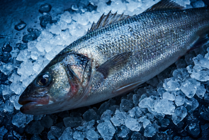 fallow-fish-freshness-cold-chain banner